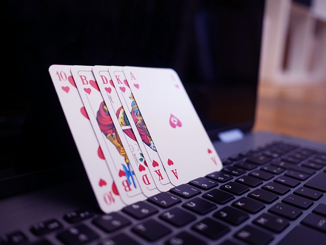 Gambling Platforms